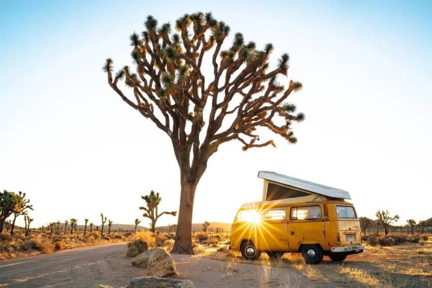 Family Activities Near Joshua Tree